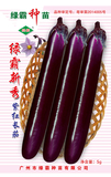 绿霸新秀茄子种子