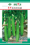 青丰大肉青长茄种子