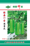 绿杂短蒲瓜种子