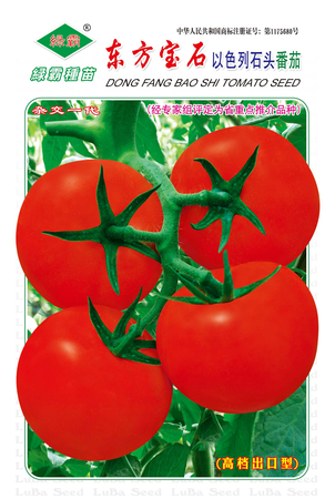 东方宝石番茄种子